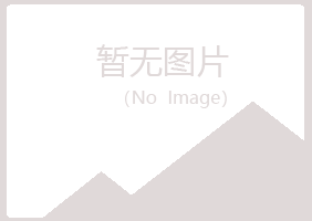 黑龙江夏青保险有限公司